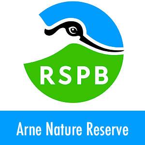 RSPB Arne logo